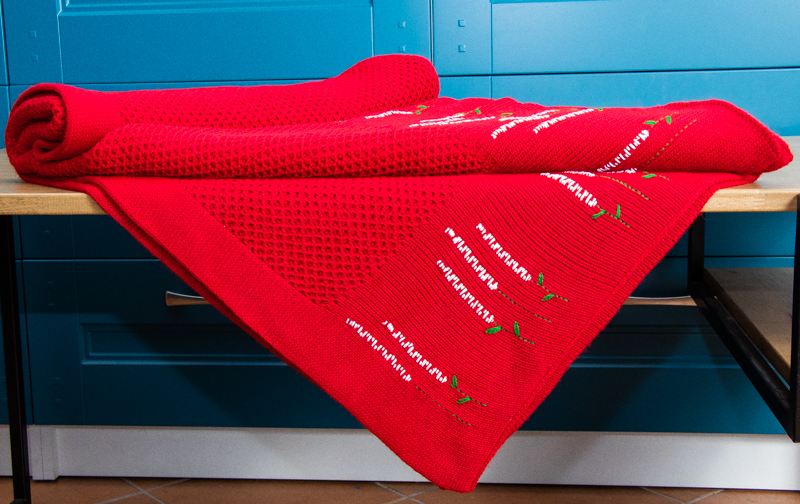 красный с ручной вышивкой колосками