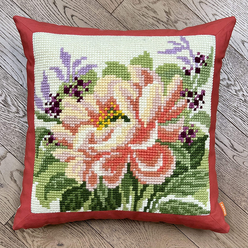 Півонія рожева