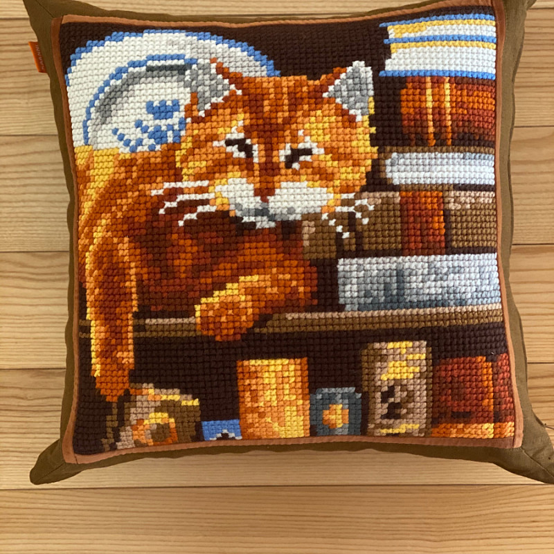 Кот в посудной лавке 50х50 см