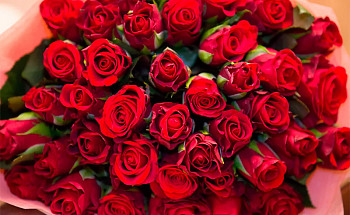 Подарунки коханим жінкам на 8 березня