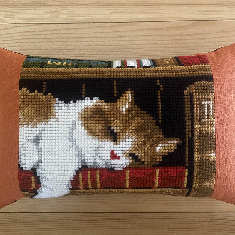 Кот в библиотеке 40х60 см